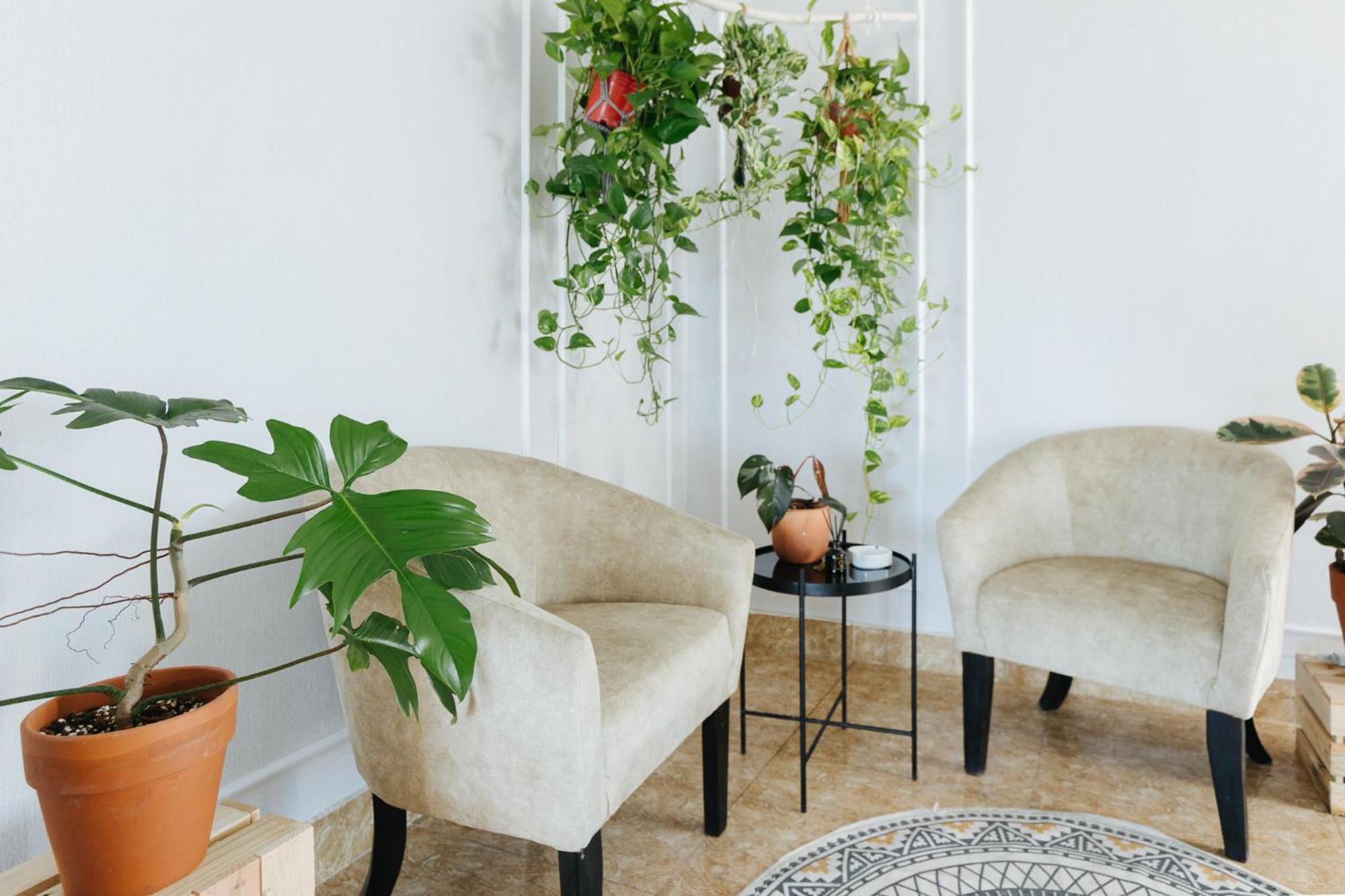 Ivy Hotel & Apartment - Stay 24H 하노이 외부 사진